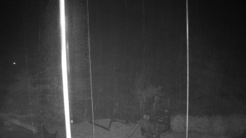 Snímek    3.11.2025 v 02:00