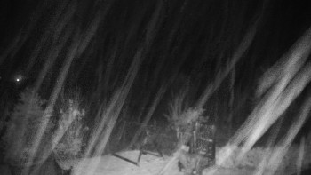 Snímek    3.11.2025 v 02:30