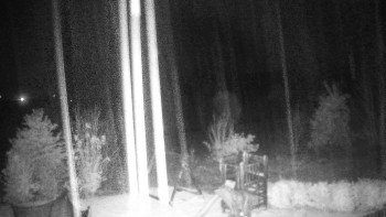 Snímek    3.11.2025 v 04:30