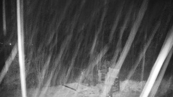 Snímek 8.11.2025 v 19:00