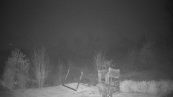 Snímek 9.11.2025 v 05:00