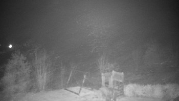 Snímek 10.11.2025 v 01:00