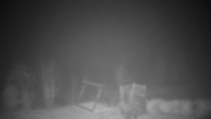 Chata Myslivna SKP Olomouc - Pohled do krajiny - 14.11.2025 v 00:30 Chata Myslivna SKP Olomouc - Pohled do krajiny - 14.11.2025 v 00:30