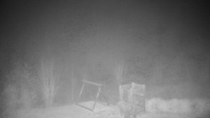 Chata Myslivna SKP Olomouc - Pohled do krajiny - 14.11.2025 v 01:30 Chata Myslivna SKP Olomouc - Pohled do krajiny - 14.11.2025 v 01:30