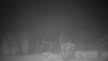 Snímek 14.11.2025 v 03:30