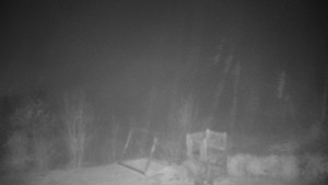 Chata Myslivna SKP Olomouc - Pohled do krajiny - 14.11.2025 v 21:00 Chata Myslivna SKP Olomouc - Pohled do krajiny - 14.11.2025 v 21:00