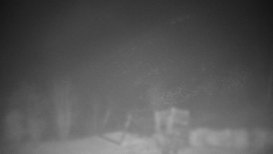 Chata Myslivna SKP Olomouc - Pohled do krajiny - 14.11.2025 v 23:00 Chata Myslivna SKP Olomouc - Pohled do krajiny - 14.11.2025 v 23:00