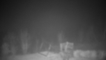 Snímek 14.11.2025 v 23:30