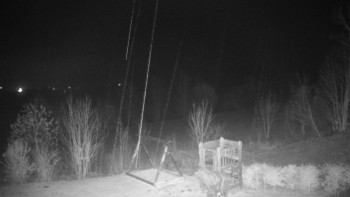 Snímek 15.11.2025 v 20:00