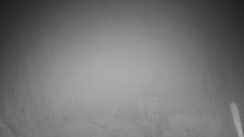 Snímek 16.11.2025 v 19:30