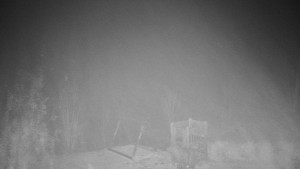 Chata Myslivna SKP Olomouc - Pohled do krajiny - 17.11.2025 v 03:30 Chata Myslivna SKP Olomouc - Pohled do krajiny - 17.11.2025 v 03:30