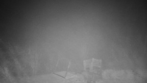 Chata Myslivna SKP Olomouc - Pohled do krajiny - 17.11.2025 v 04:00 Chata Myslivna SKP Olomouc - Pohled do krajiny - 17.11.2025 v 04:00