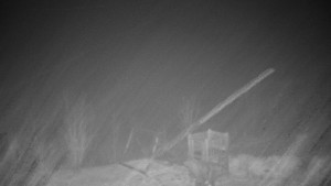 Chata Myslivna SKP Olomouc - Pohled do krajiny - 19.12.2025 v 01:00 Chata Myslivna SKP Olomouc - Pohled do krajiny - 19.12.2025 v 01:00