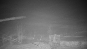 Chata Myslivna SKP Olomouc - Pohled do krajiny - 19.12.2025 v 02:00 Chata Myslivna SKP Olomouc - Pohled do krajiny - 19.12.2025 v 02:00