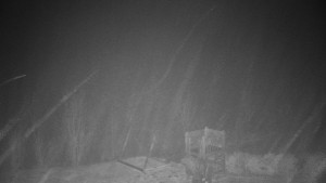 Chata Myslivna SKP Olomouc - Pohled do krajiny - 19.12.2025 v 06:00 Chata Myslivna SKP Olomouc - Pohled do krajiny - 19.12.2025 v 06:00