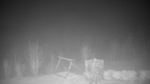 Chata Myslivna SKP Olomouc - Pohled do krajiny - 19.12.2025 v 22:30 Chata Myslivna SKP Olomouc - Pohled do krajiny - 19.12.2025 v 22:30