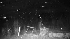 Chata Myslivna SKP Olomouc - Pohled do krajiny - 16.2.2026 v 02:00 Chata Myslivna SKP Olomouc - Pohled do krajiny - 16.2.2026 v 02:00