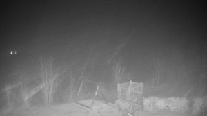 Chata Myslivna SKP Olomouc - Pohled do krajiny - 16.3.2026 v 03:00 Chata Myslivna SKP Olomouc - Pohled do krajiny - 16.3.2026 v 03:00