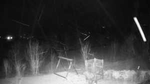 Chata Myslivna SKP Olomouc - Pohled do krajiny - 28.3.2026 v 03:30 Chata Myslivna SKP Olomouc - Pohled do krajiny - 28.3.2026 v 03:30