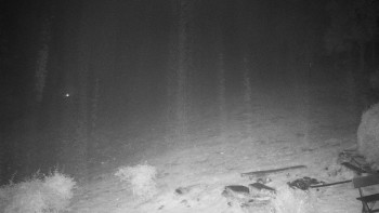 Snímek 22.10.2025 v 04:30