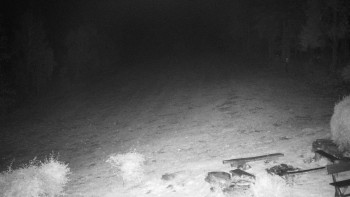 Snímek    25.10.2025 v 05:00