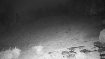 Snímek    25.10.2025 v 06:30