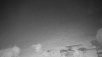 Snímek    25.10.2025 v 19:30