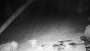 Snímek    26.10.2025 v 05:00