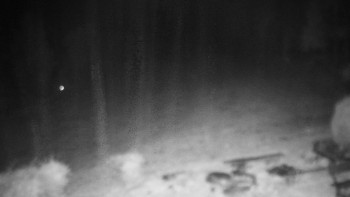 Snímek    27.10.2025 v 20:00