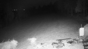 Snímek    31.10.2025 v 03:00