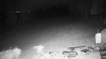 Snímek    31.10.2025 v 03:30