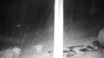 Snímek    3.11.2025 v 00:00