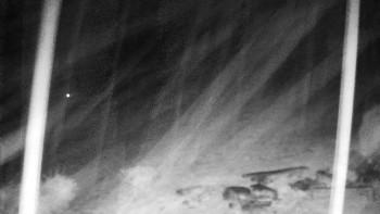 Snímek    3.11.2025 v 02:30