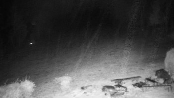 Snímek    3.11.2025 v 03:30