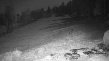 Snímek 5.11.2025 v 01:30