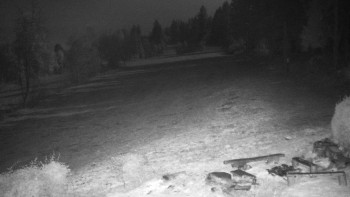 Snímek 5.11.2025 v 03:00