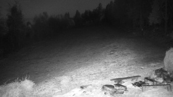 Snímek 5.11.2025 v 05:00