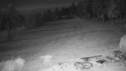 Běžecký lyžařský areál Nová Ves