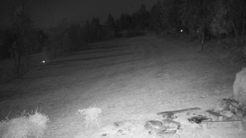 Snímek 6.11.2025 v 19:00