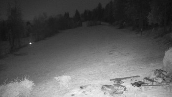 Snímek 7.11.2025 v 00:00