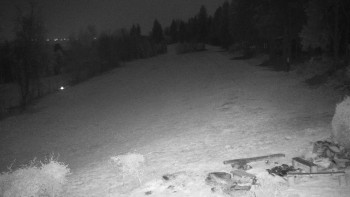 Snímek 7.11.2025 v 01:00