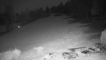 Snímek 7.11.2025 v 02:30