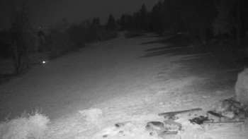 Snímek 7.11.2025 v 03:00