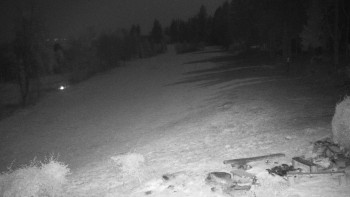 Snímek 7.11.2025 v 03:30