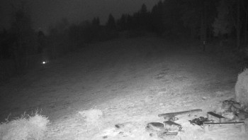 Snímek 7.11.2025 v 05:00