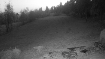 Snímek 7.11.2025 v 17:00