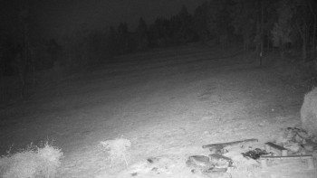 Snímek 7.11.2025 v 18:30