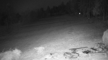 Snímek 7.11.2025 v 19:00