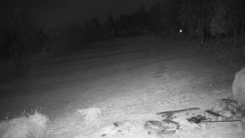 Snímek 7.11.2025 v 19:30