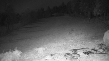 Snímek 7.11.2025 v 21:30